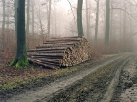 https://www.langweilige-landschaften.de/files/dimgs/thumb_0x200_2_17_29.jpg